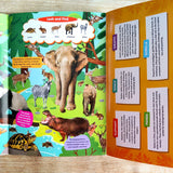 Discovering Delights - Animal Kingdom - Flap Book for Kids (Look and find)