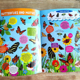 Discovering Delights - Insects and Reptiles - Flap Book for Kids (Look and find)