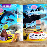 Discovering Delights - Ocean Life - Flap Book for Kids (Look and find)