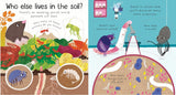 Lift-the-Flap First Questions and Answers: Why do we need worms? (Usborne)