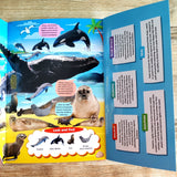 Discovering Delights - Ocean Life - Flap Book for Kids (Look and find)