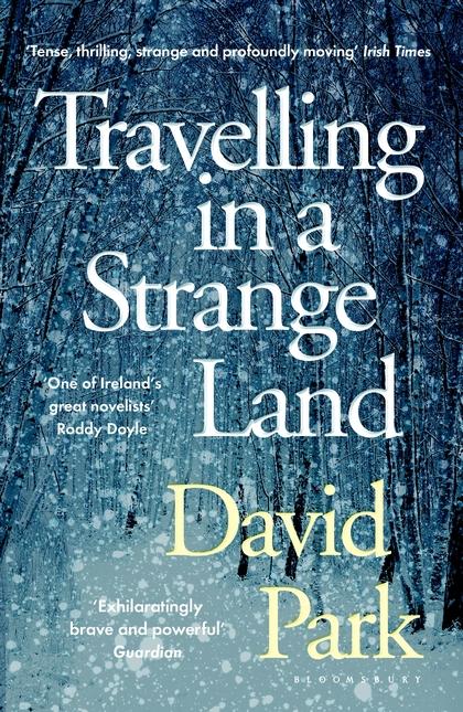 Travelling in a Strange Land by David Park